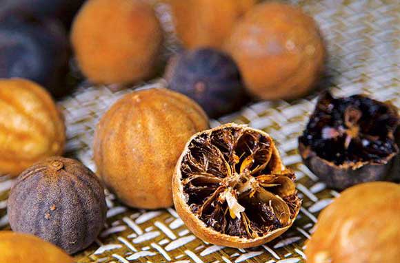 قیمت خرید لیمو عمانی تلخ با فروش عمده